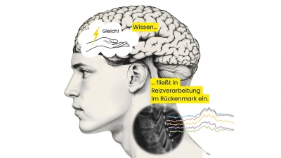 schematische Darstellung_LIN